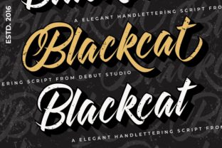 Blackcat Font for Vintage Aesthetic Campaigns