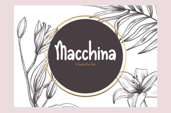 Macchina: A Script Font That Elevates Your Web Design