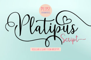 Platipus Script Font for Creative Makers and Handmade Sellers