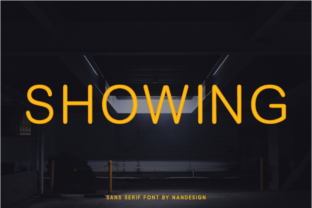 Showing: A Modern Sans Serif Font for Elegant Web Design